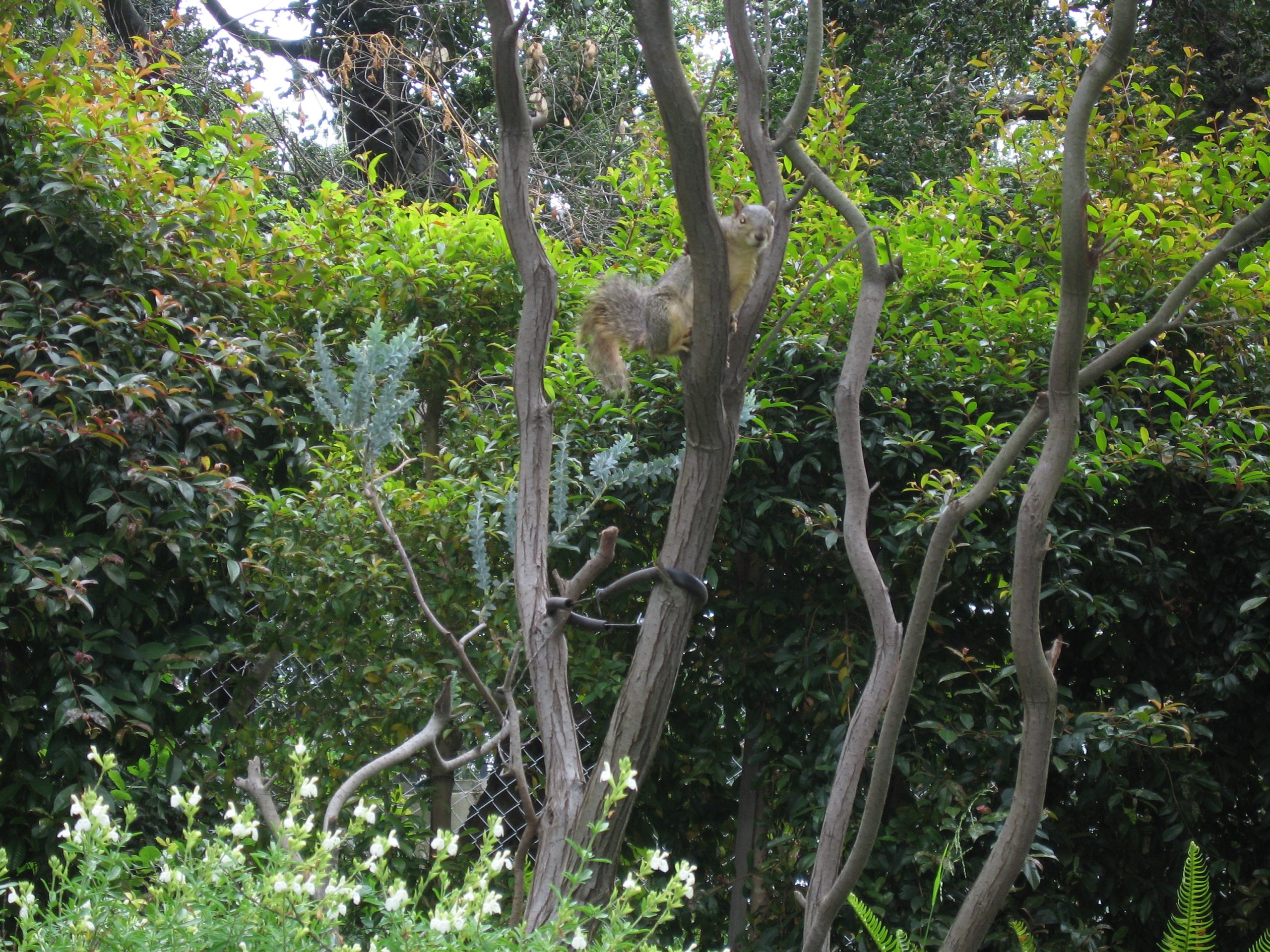 Lessons From Nature: Learning from Past Failures and Avoiding Future Mistakes